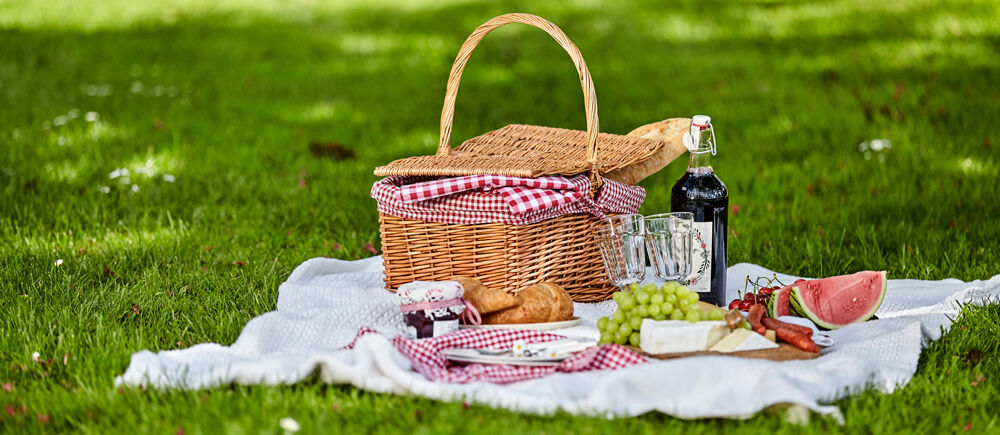 Pic nic tra gli ulivi